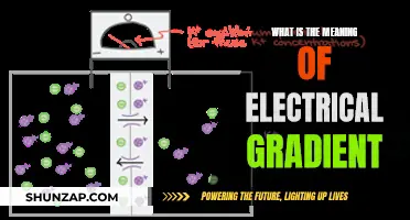Understanding Electrical Gradients: Powering Our World