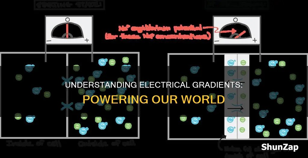 what is the meaning of electrical gradient