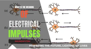 Electrical Impulses: Understanding Their Meaning and Power