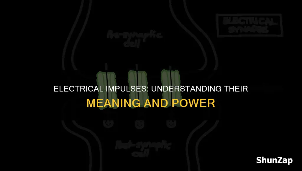 what is the meaning of electrical impulses