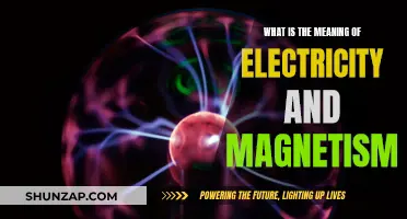 Electricity and Magnetism: Understanding Their Intrinsic Nature