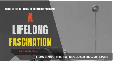 Electricity's Lifelong Fascination: A Meaningful Spark