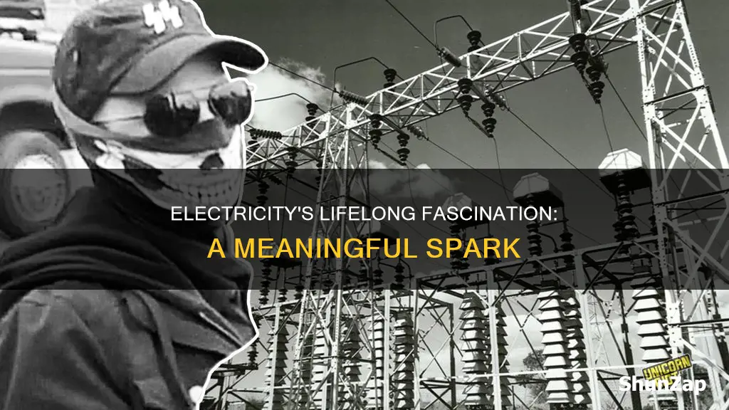 what is the meaning of electricity became a lifelong fascination
