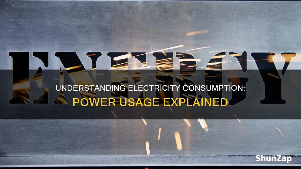 what is the meaning of electricity consumption