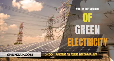 Green Electricity: Powering a Sustainable Future