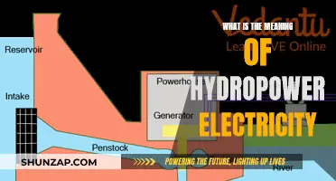 Hydropower Electricity: Unlocking Water's Energy Potential