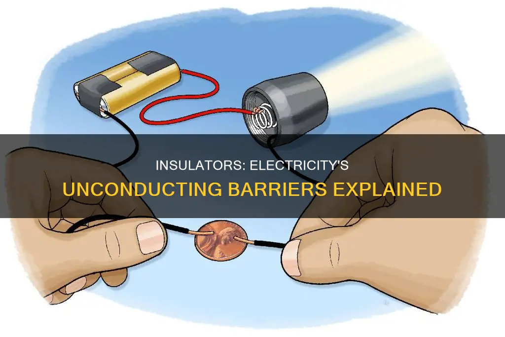 what is the meaning of insulator in electricity