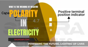 Understanding Negative Polarity in Electricity: Its Intrinsic Meaning