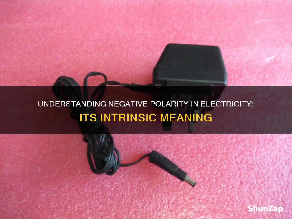 what is the meaning of negative polarity in electricity