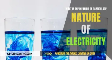 The Intriguing Particulate Nature of Electricity Explained