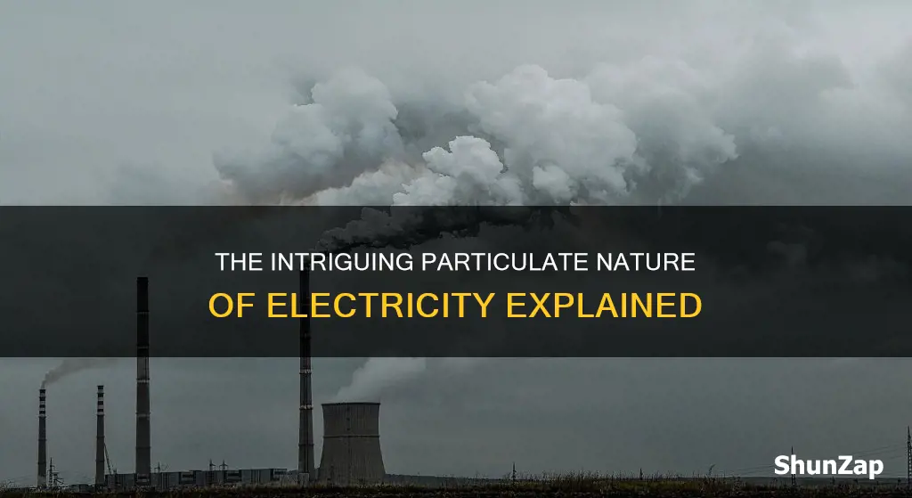 what is the meaning of particulate nature of electricity