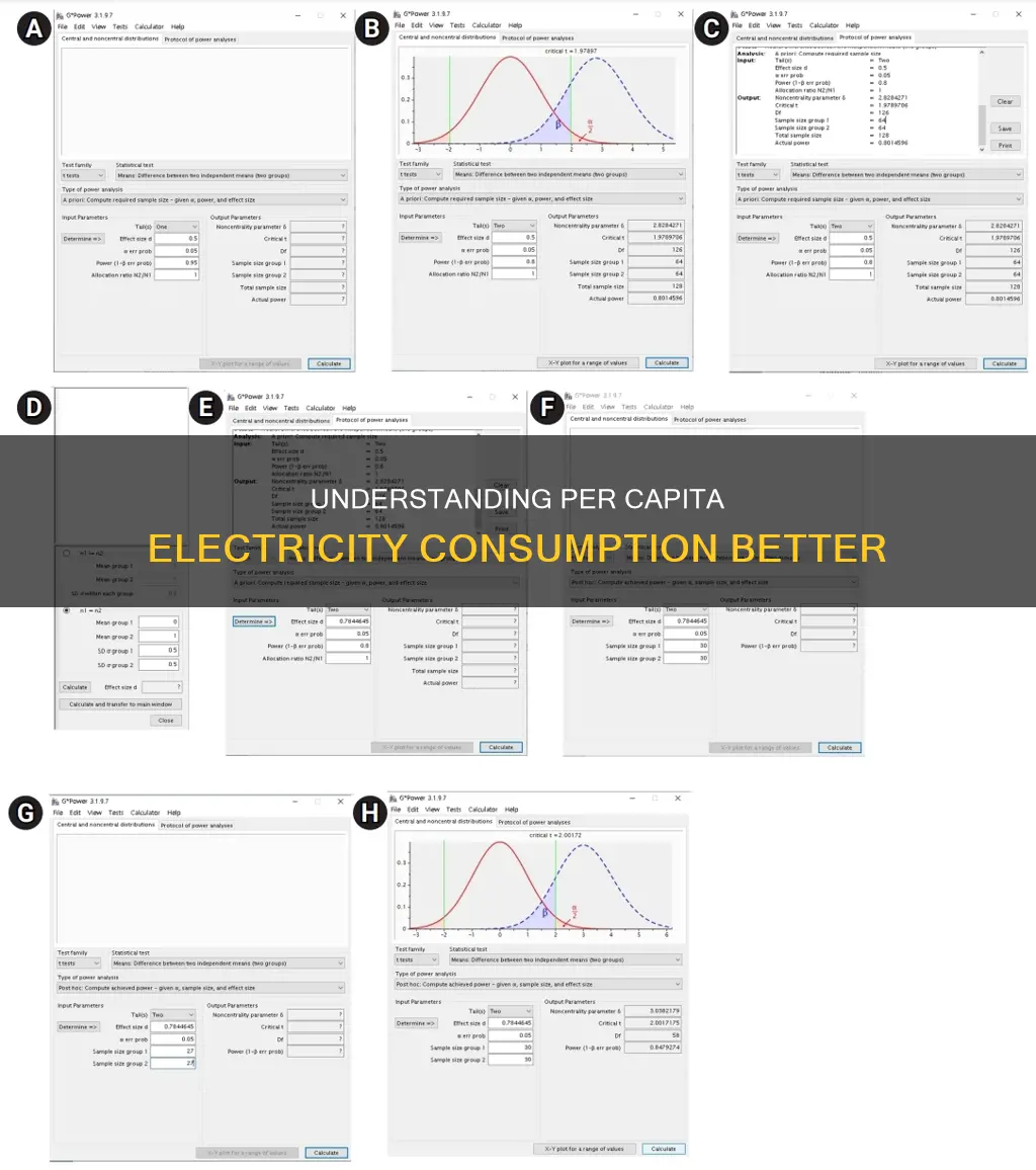 what is the meaning of per capita consumption of electricity
