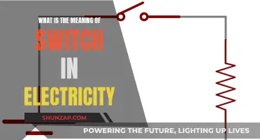 Electricity Switches: How Do They Work?