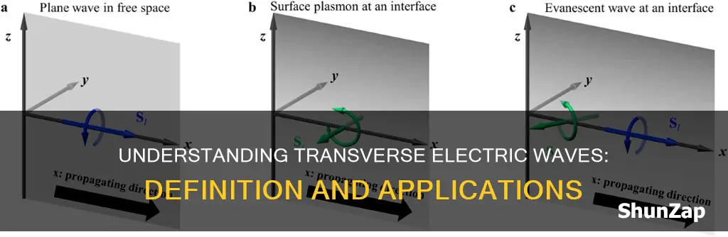 what is the meaning of transverse electric wave