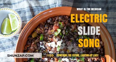 The Mexican Electric Slide Song: Dance to the Beat