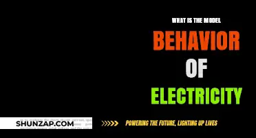 Electricity's Intriguing Model Behavior Explained