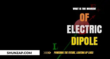 Understanding Electric Dipole Moments: A Primer