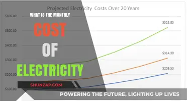 Electricity Costs: Monthly Expenses and Budgeting