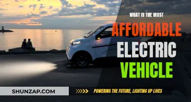 The Best Affordable Electric Vehicles for Your Wallet