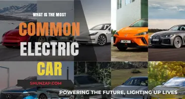 Discover the Most Popular Electric Car on the Road Today