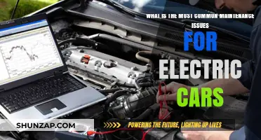 Common Electric Car Maintenance Issues: What Owners Need to Know