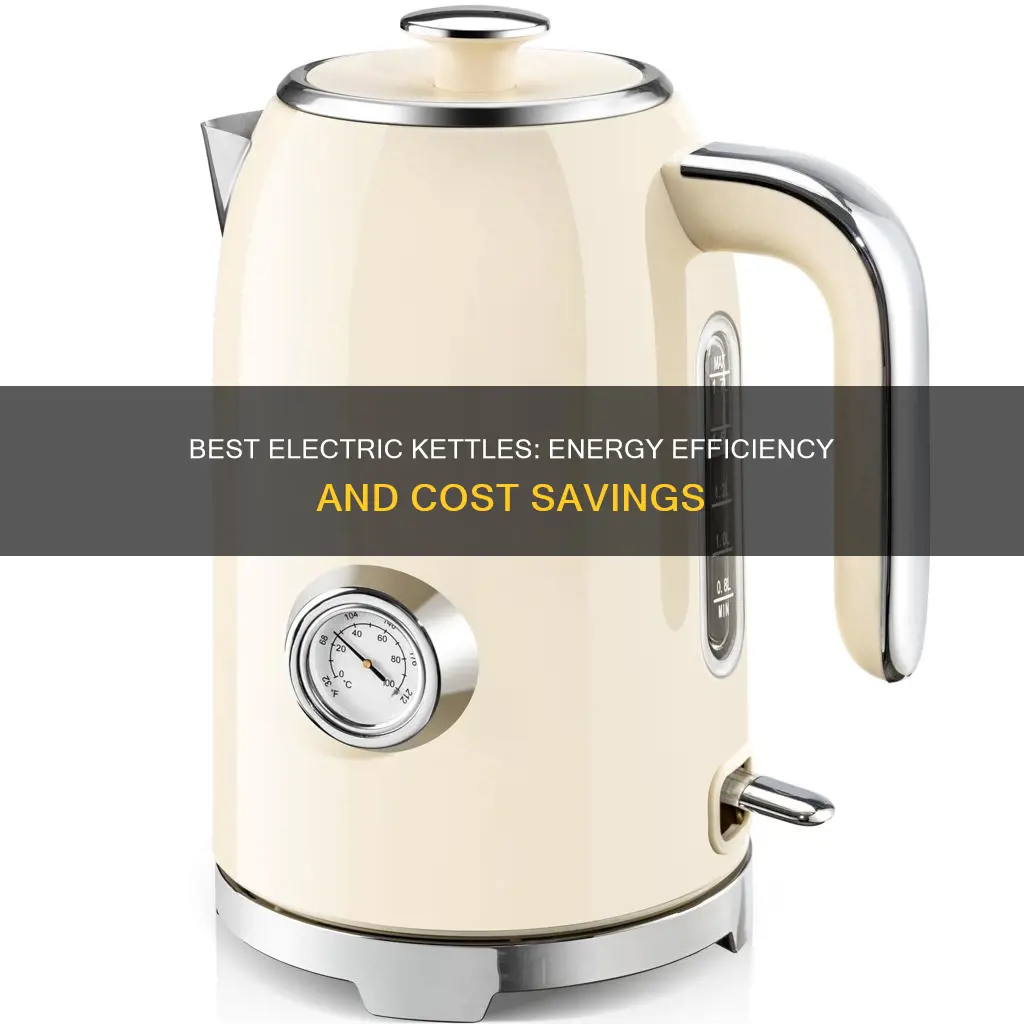 what is the most economical electric kettle