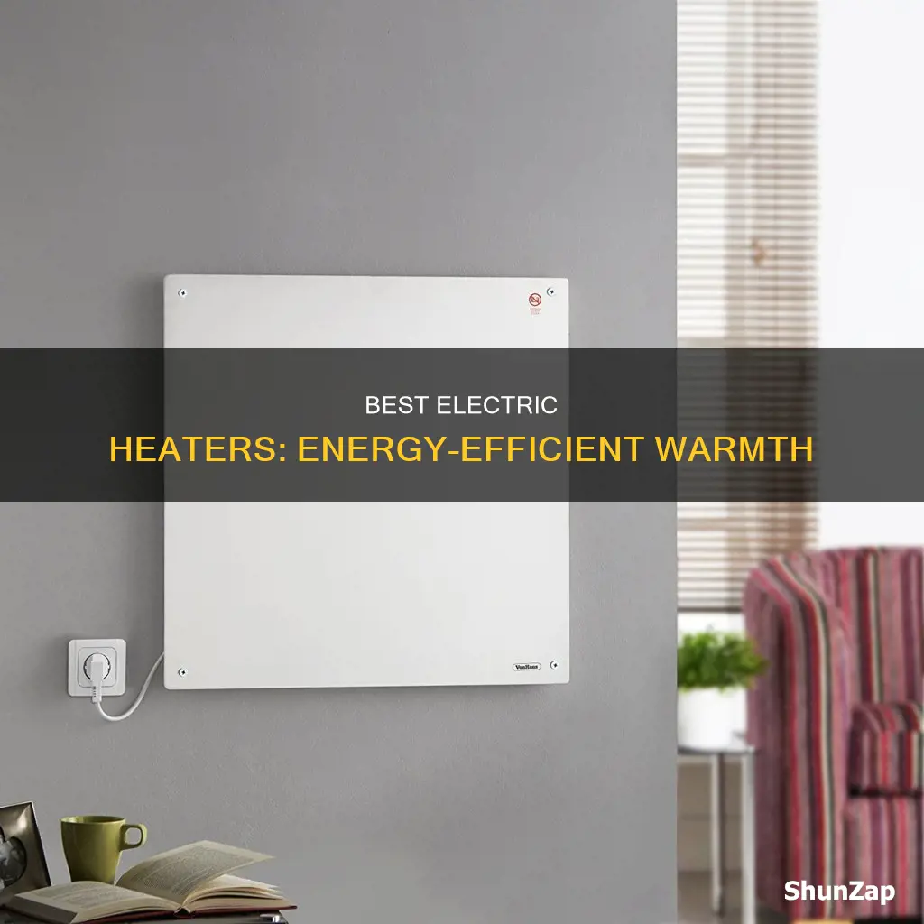 what is the most efficent electric heaters