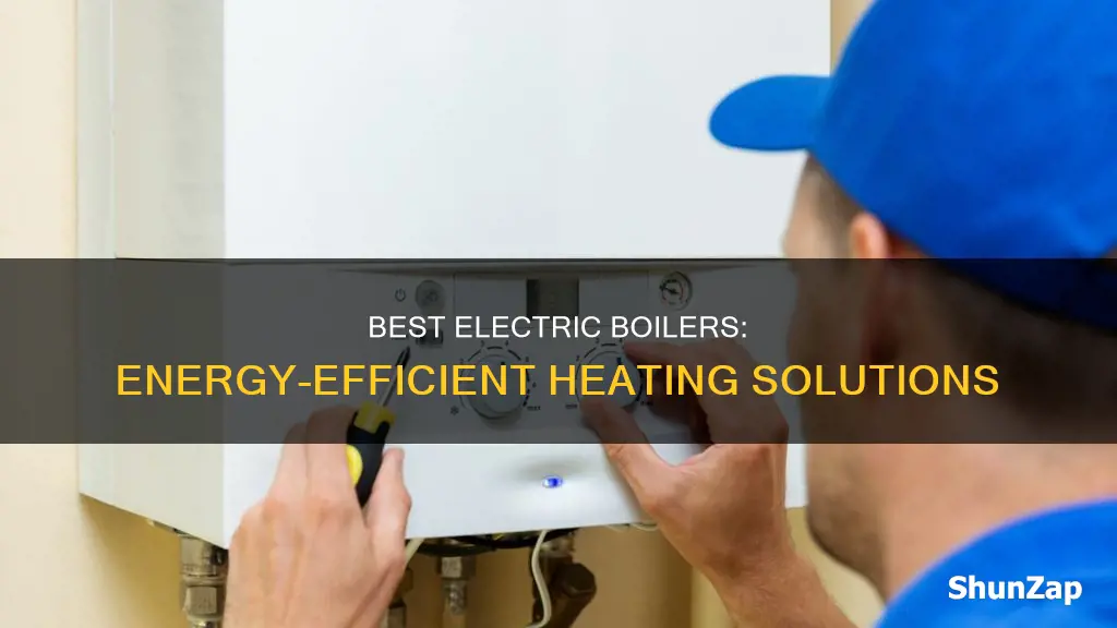 what is the most efficient electric boiler