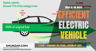 The Ultimate Guide to Efficient Electric Vehicles: Top Performers Revealed