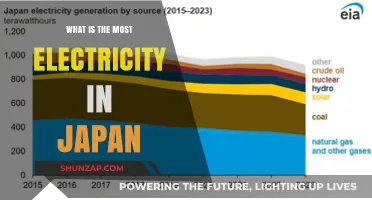 Electricity in Japan: Who Uses the Most?