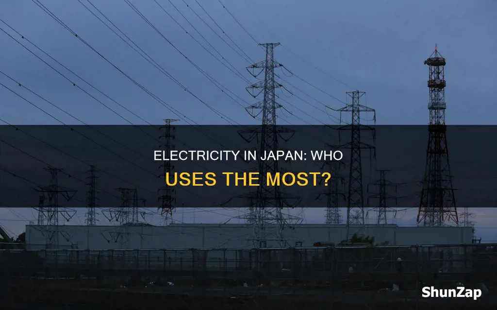 what is the most electricity in japan