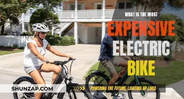 The Ultimate Luxury: High-End Electric Bikes Explored