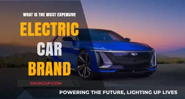 Luxury Meets Innovation: The Most Expensive Electric Car Brand Revealed