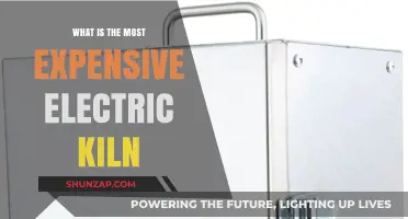 Costly Kiln Conundrum: Electric Models' Expense Explained