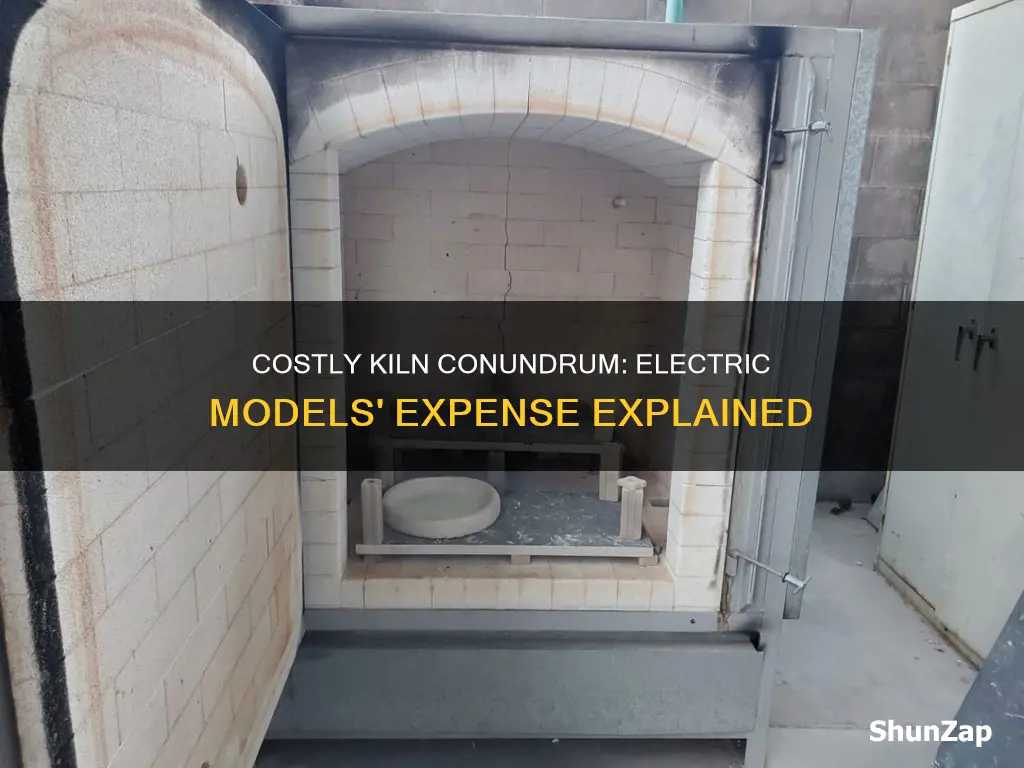 what is the most expensive electric kiln