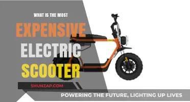 Luxurious Electric Scooters: Expensive, Yet Worth the Price?