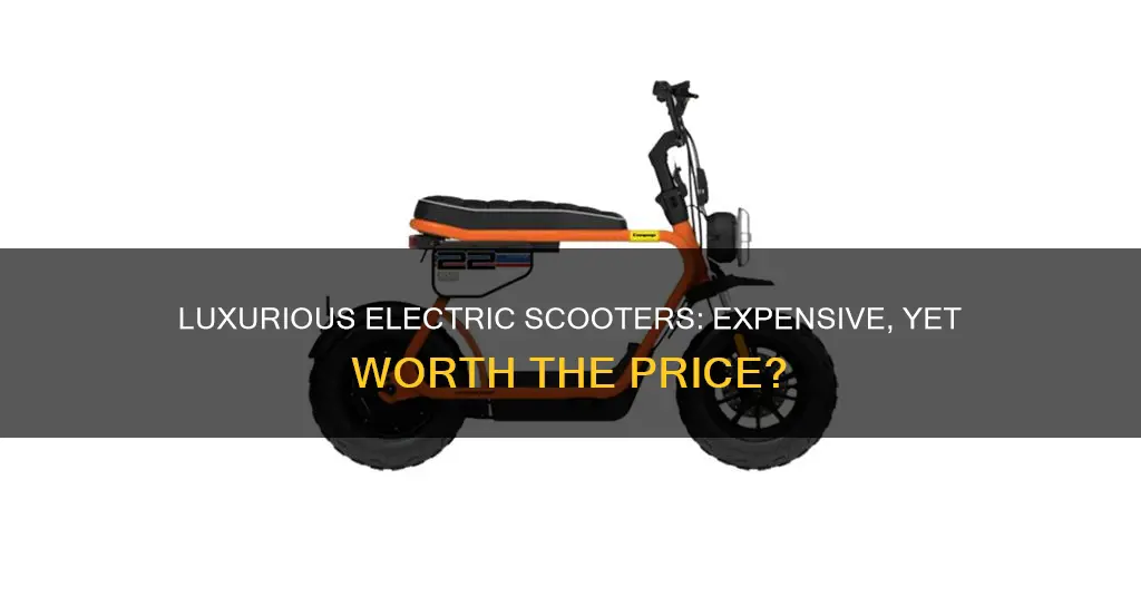 what is the most expensive electric scooter