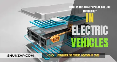 Cooling Tech in EVs: What's Trending?