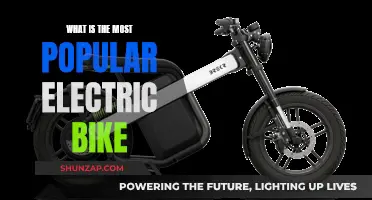 The Best-Selling Electric Bikes and Why They're Popular