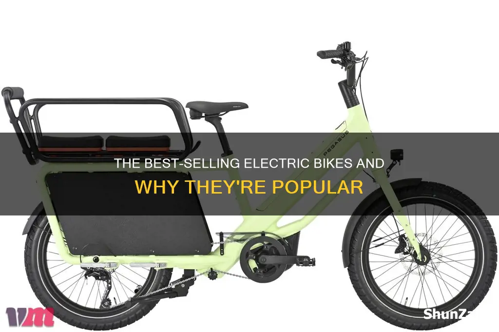 what is the most popular electric bike