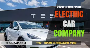 Leading the Charge: The Most Popular Electric Car Company Today