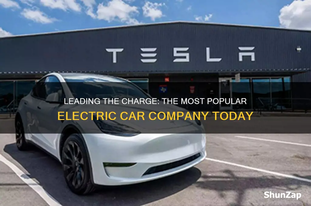 what is the most popular electric car company