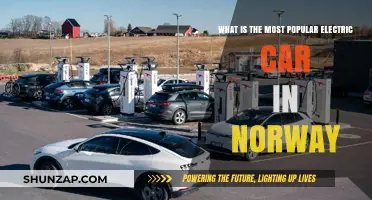 Norway's Electric Car Leader: Unveiling the Most Popular Model