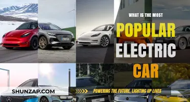 Discover the Top Electric Car Dominating the Market Today