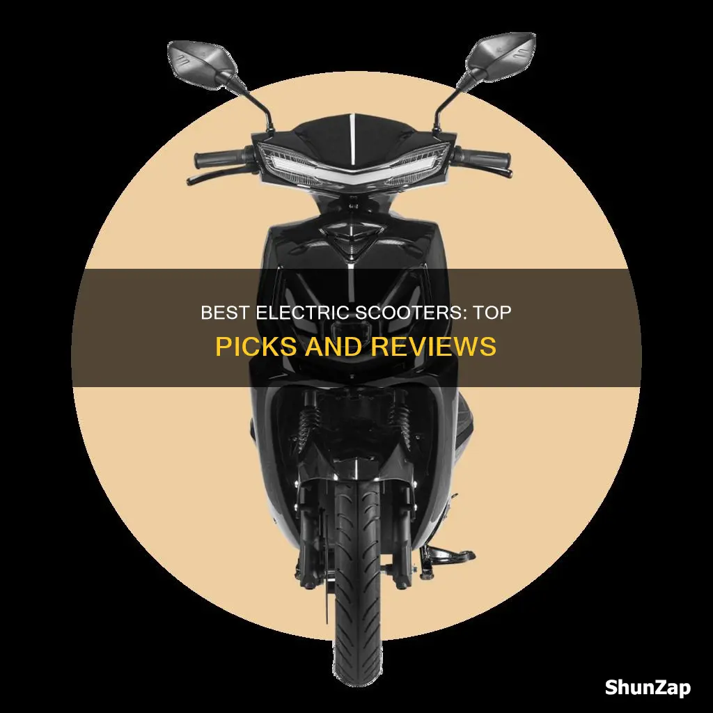 what is the most popular electric scooter