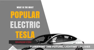 The Most Popular Tesla: Model S