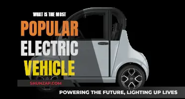 The Most Sought-After Electric Vehicle: Who Takes the Crown?