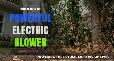 Electric Blowers: The Most Powerful Options Available