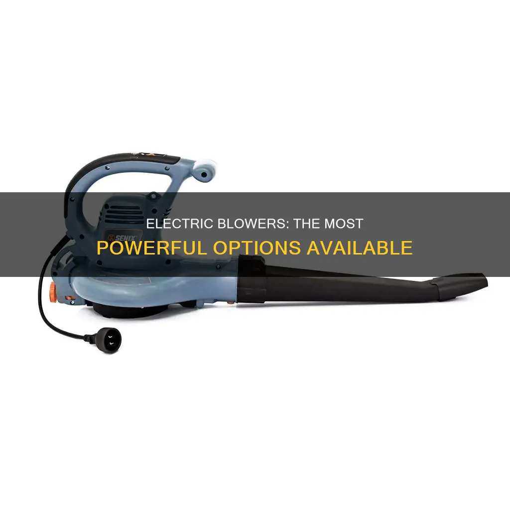what is the most powerful electric blower