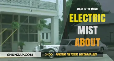 The Electric Mist: Unraveling a Murder Mystery